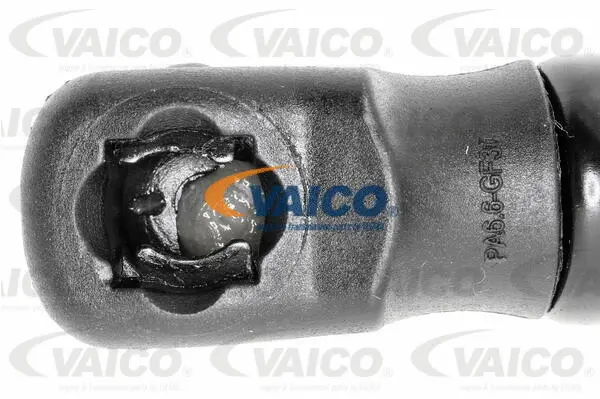 Gas Spring, boot/cargo area