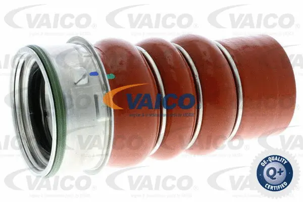 Charge Air Hose