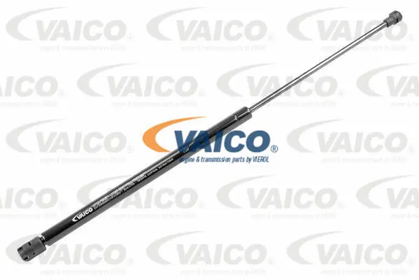 Gas Spring, boot/cargo area
