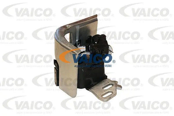 Mount, exhaust system