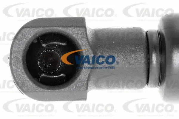 Gas Spring, bonnet