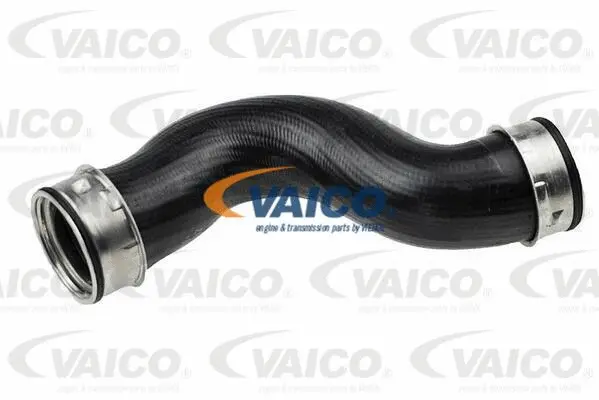 Charge Air Hose