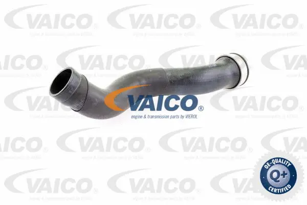 Charge Air Hose
