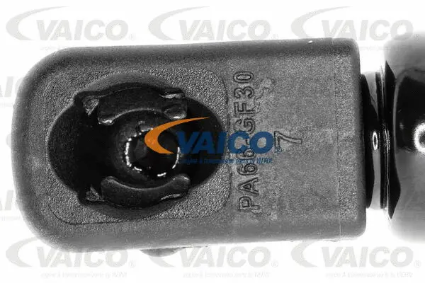 Gas Spring, bonnet