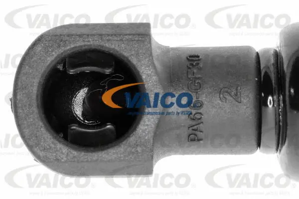 Gas Spring, boot/cargo area