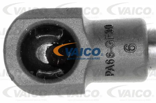 Gas Spring, boot/cargo area