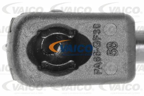 Gas Spring, boot/cargo area