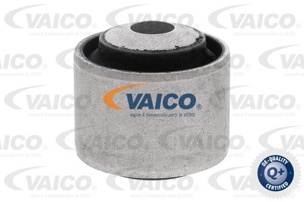 Mounting, control/trailing arm