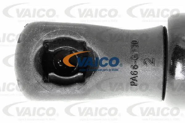Gas Spring, boot/cargo area