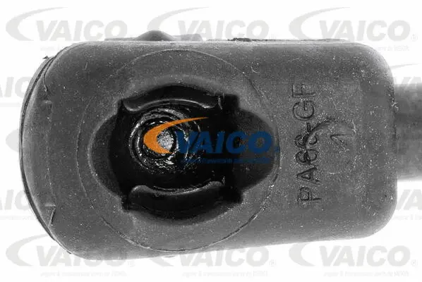 Gas Spring, bonnet