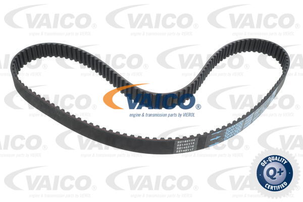 Timing Belt