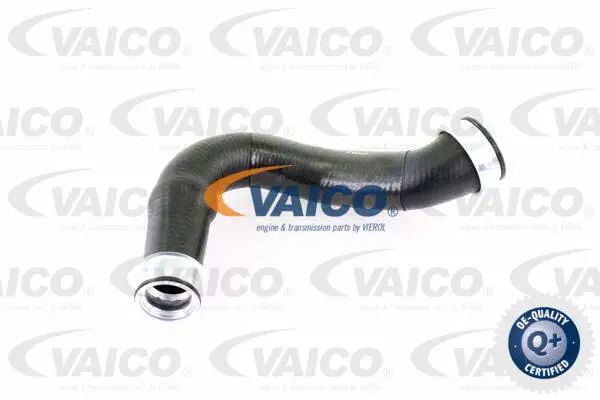 Charge Air Hose
