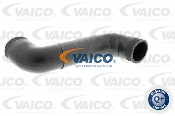 Charge Air Hose