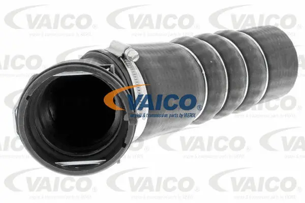 Charge Air Hose