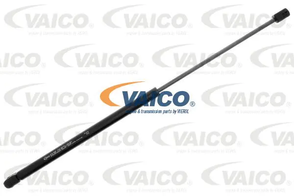 Gas Spring, boot/cargo area