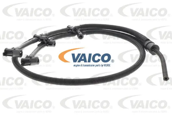Hose, fuel overflow