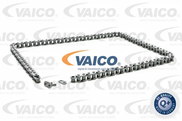 Timing Chain