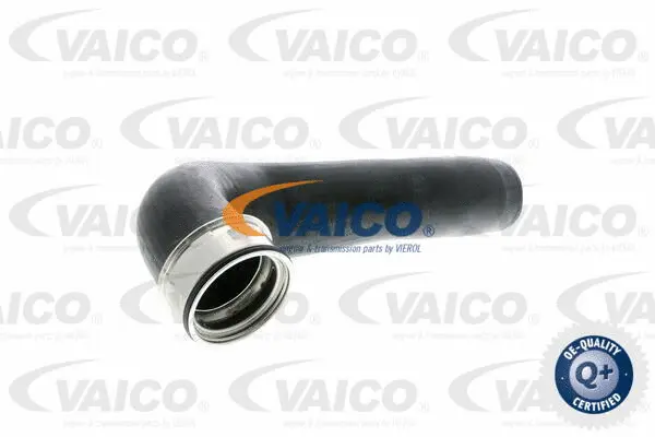 Charge Air Hose