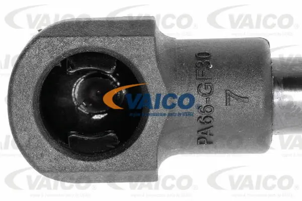 Gas Spring, boot/cargo area