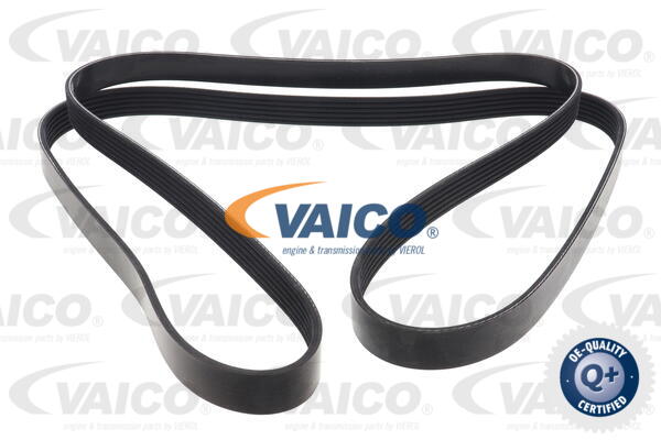 V-Ribbed Belt