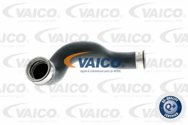 Charge Air Hose