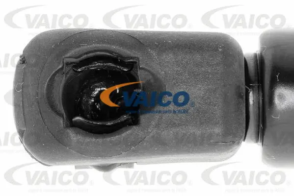 Gas Spring, bonnet