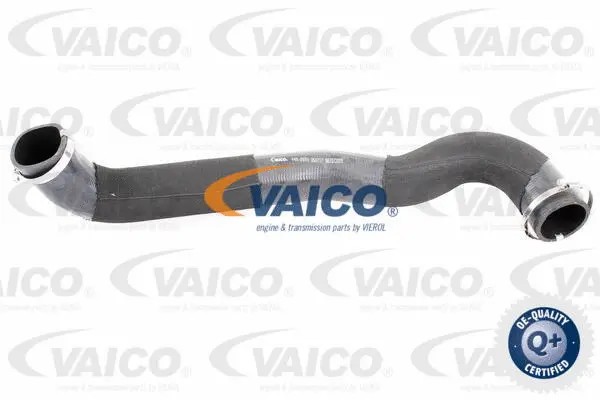 Charge Air Hose