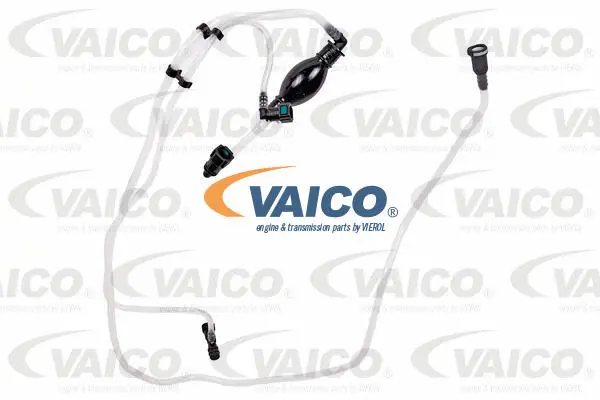 Fuel Line