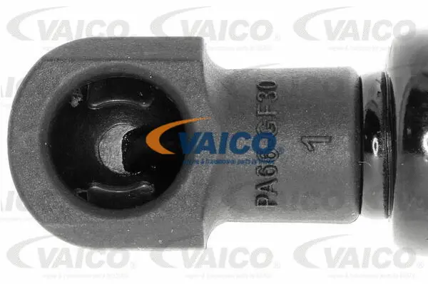 Gas Spring, boot/cargo area