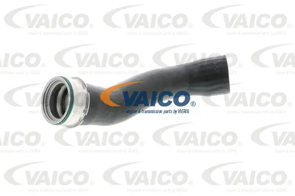 Charge Air Hose