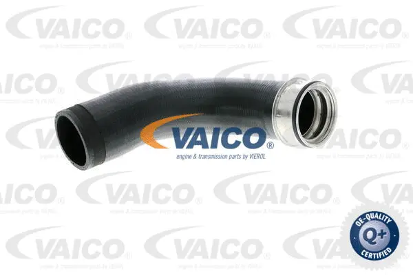 Charge Air Hose