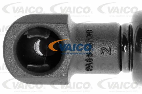 Gas Spring, boot/cargo area