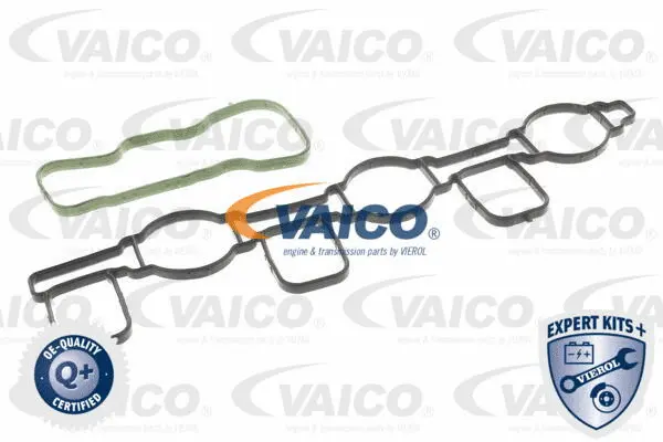 Intake Manifold Module