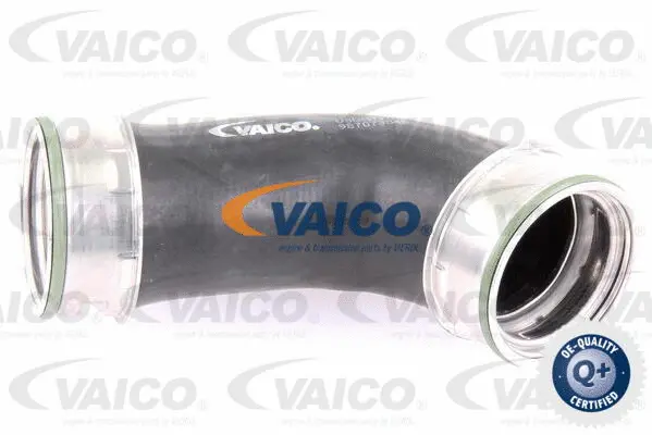 Charge Air Hose