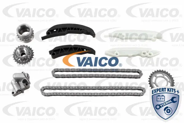 Timing Chain Kit