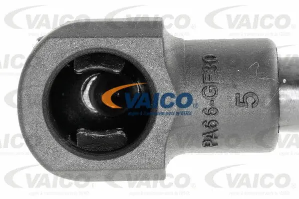 Gas Spring, boot/cargo area