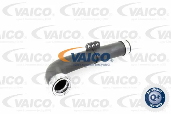 Charge Air Hose