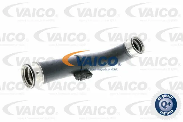Charge Air Hose