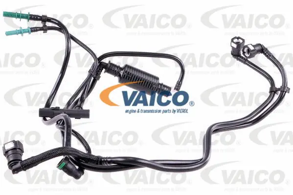 Fuel Line
