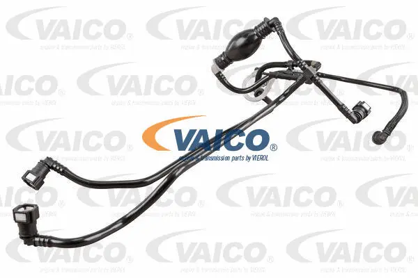 Fuel Line