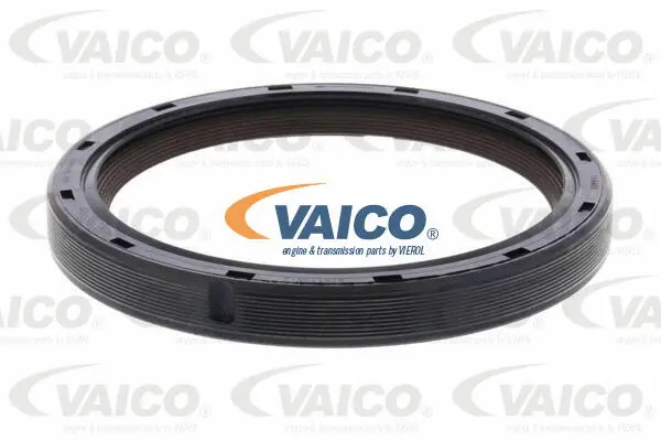 Shaft Seal, differential