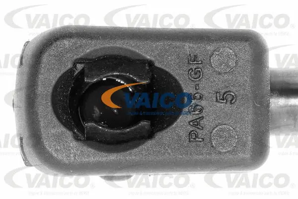 Gas Spring, boot/cargo area