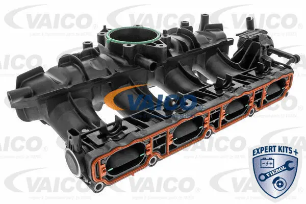 Intake Manifold Module