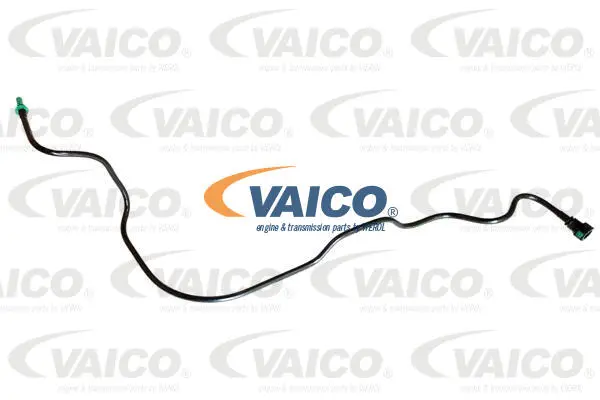 Fuel Line