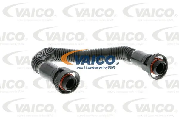 Hose, crankcase ventilation