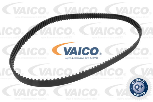 Timing Belt