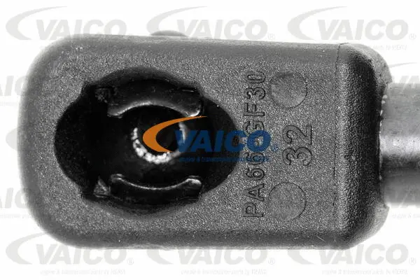 Gas Spring, boot/cargo area