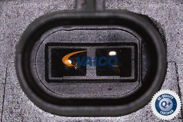 Central Magnet, camshaft adjustment