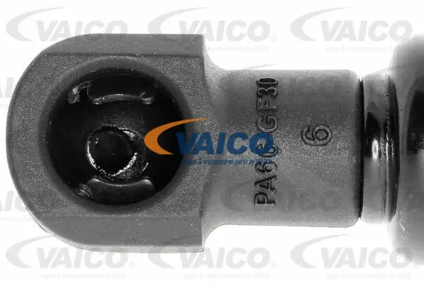 Gas Spring, boot/cargo area