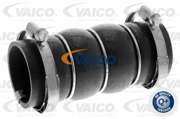 Charge Air Hose